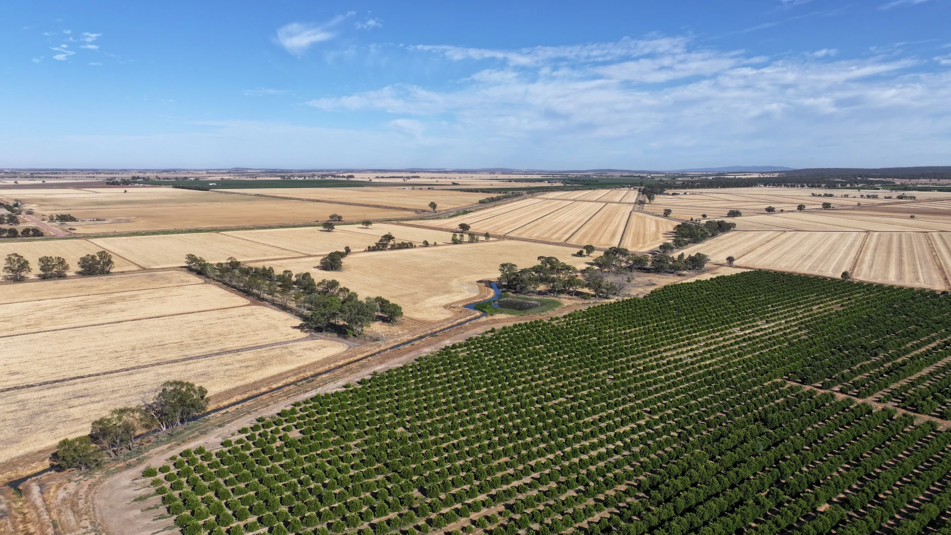 Additional image 5 of Farm 65 Stoney Point Road, Leeton NSW 2705