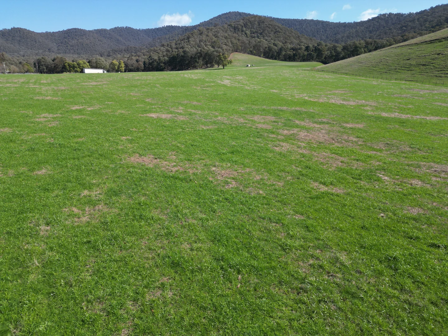 Additional image 17 of 40 Simpsons Creek Track, Nariel Valley VIC 3707