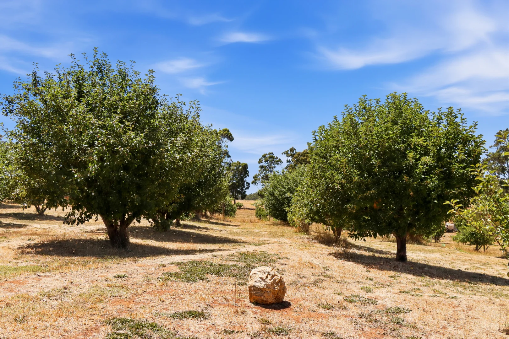 Additional image 27 of 5 Mottram Street, Bridgetown WA 6255