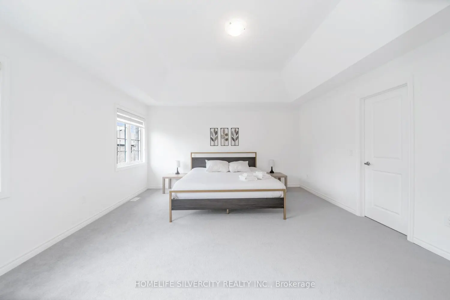 Additional image 16 of 26 Sassafrass Road