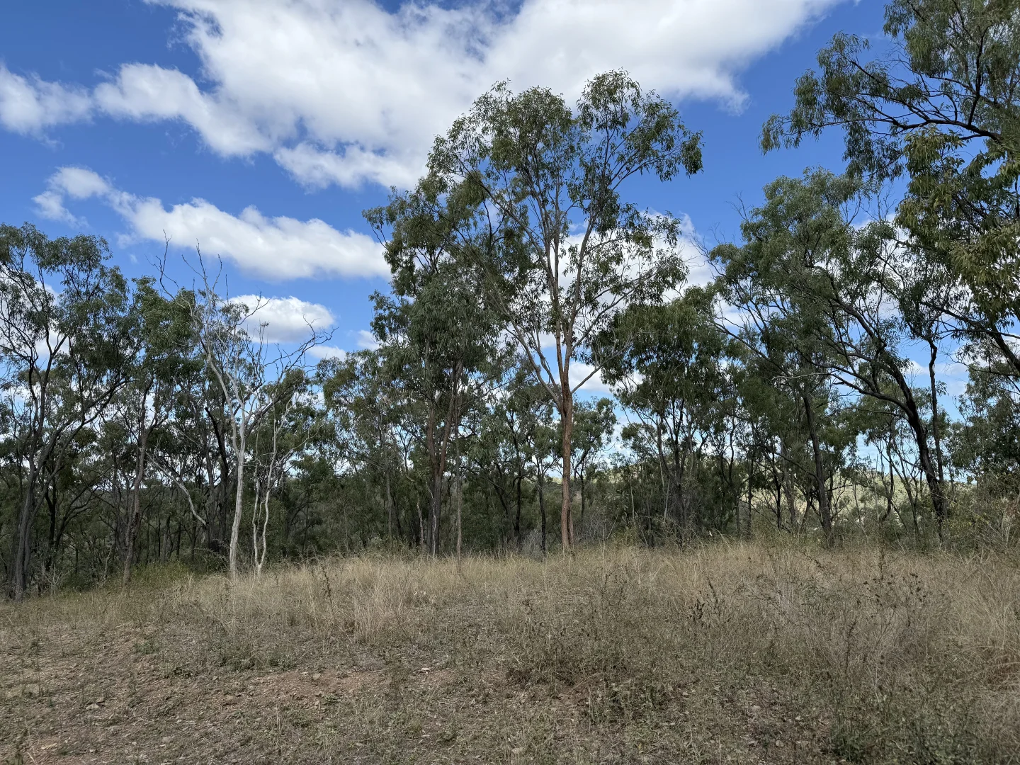 Additional image 9 of 471 Neill Creek Road, Wooderson QLD 4680