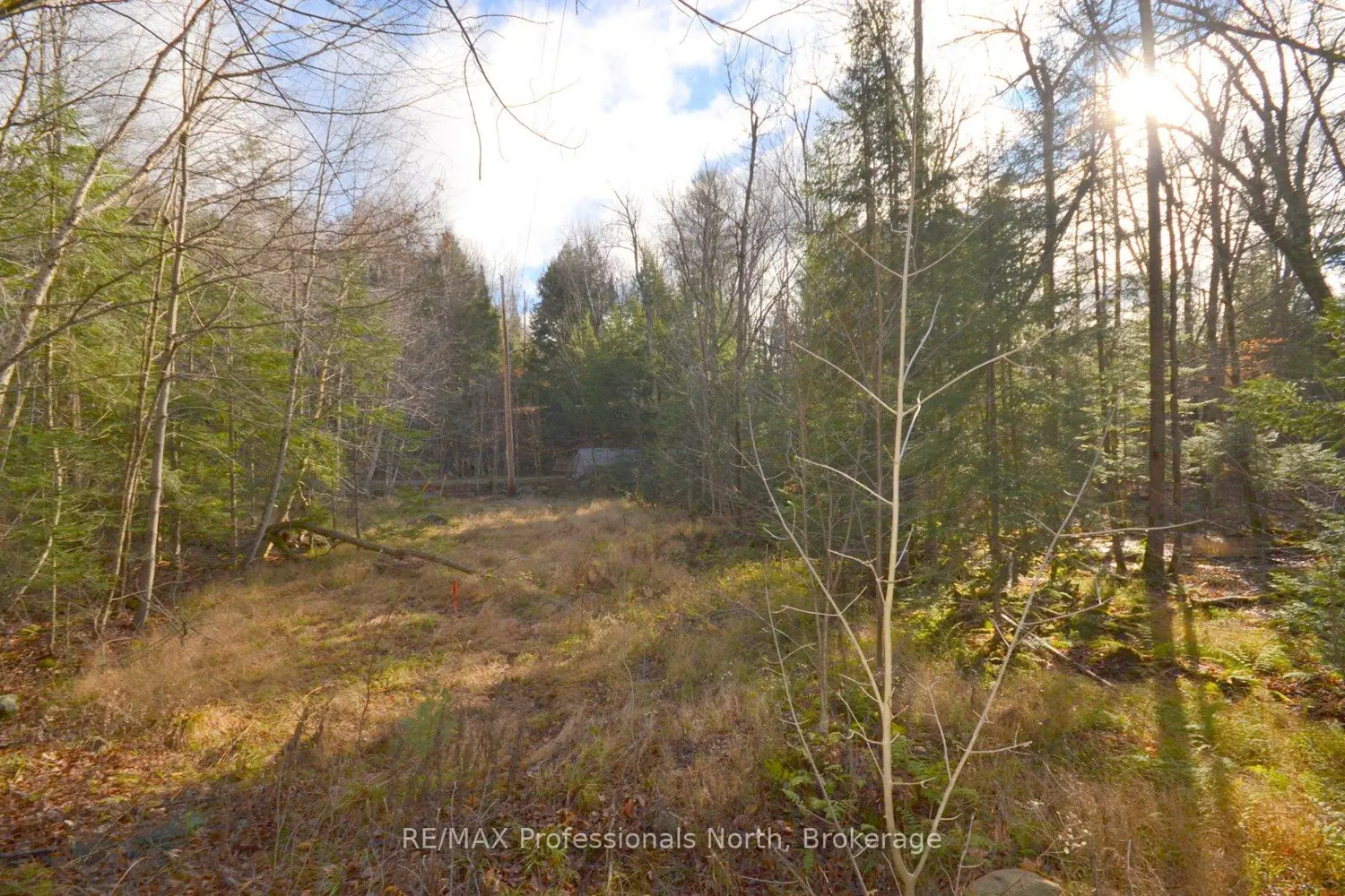 Additional image 8 of 0 Clive Trail