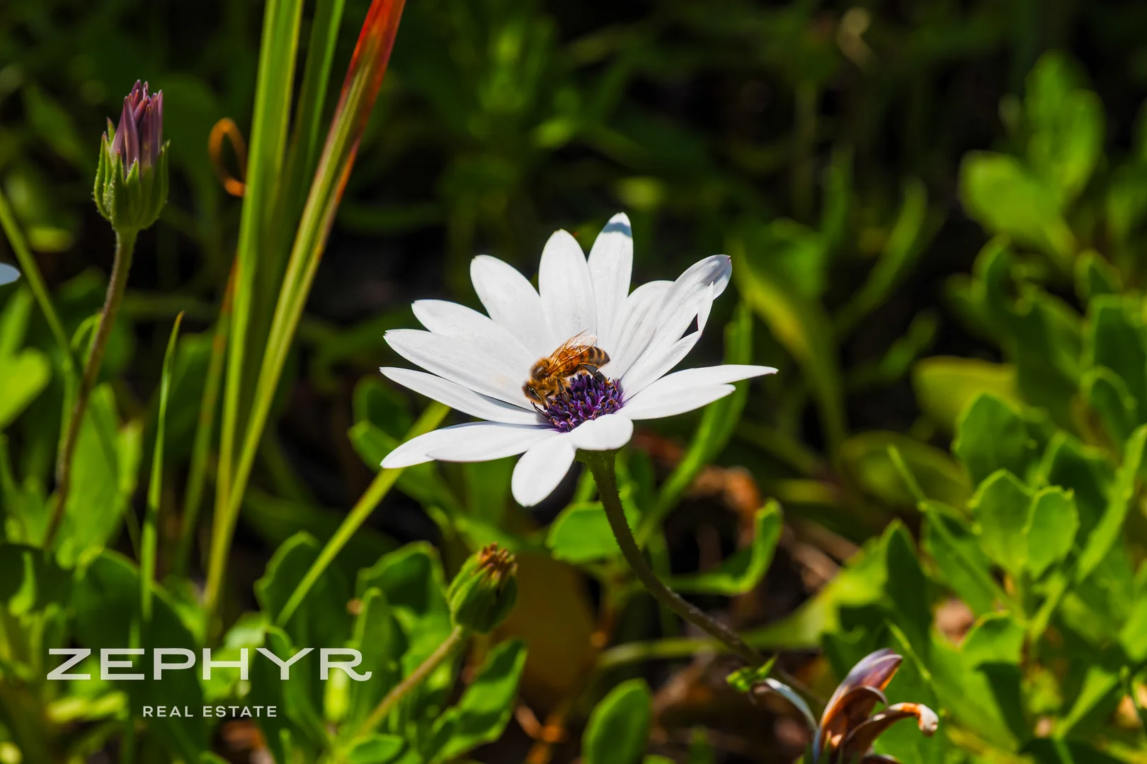 Additional image 34 of 86 Oldmeadow Road, Lowden WA 6240