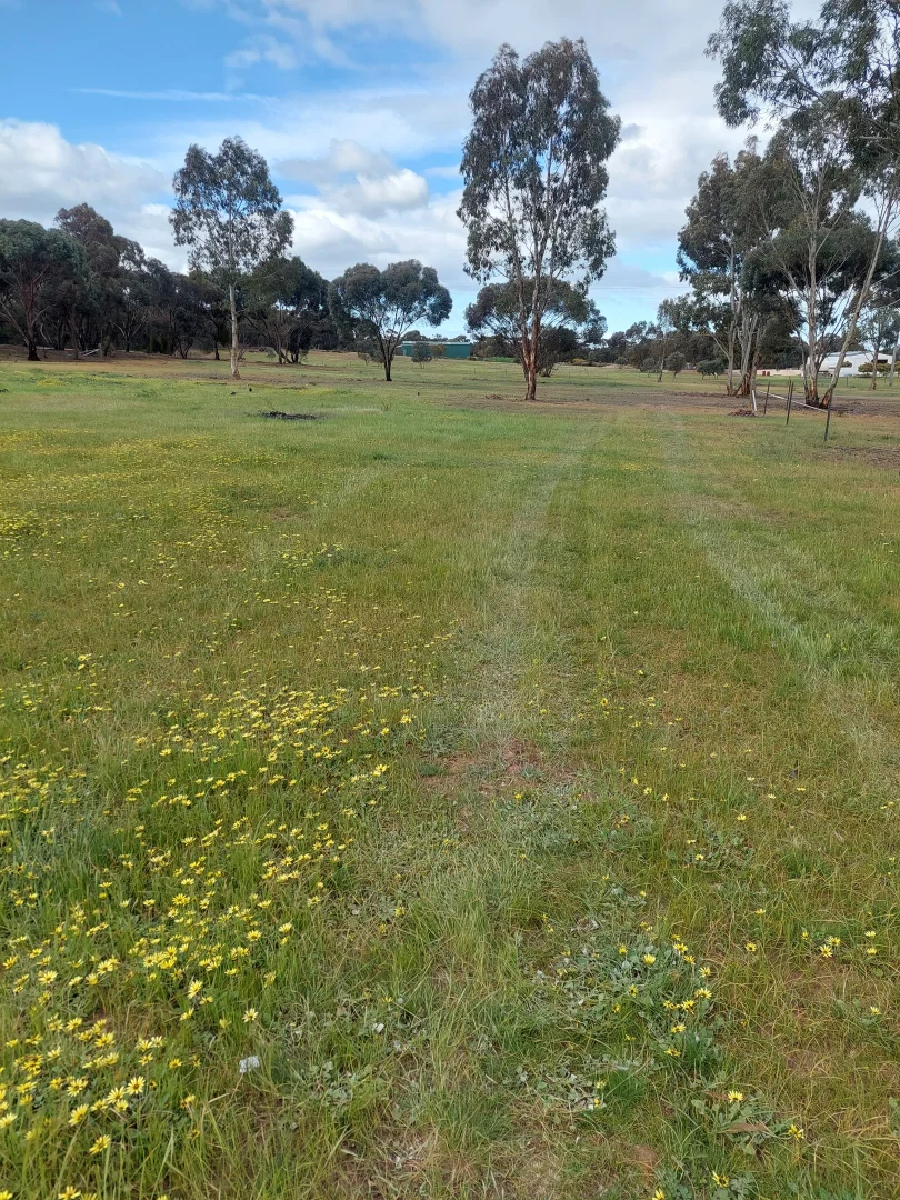 Additional image 2 of Lot 2/75 Southey Street, Inglewood VIC 3517