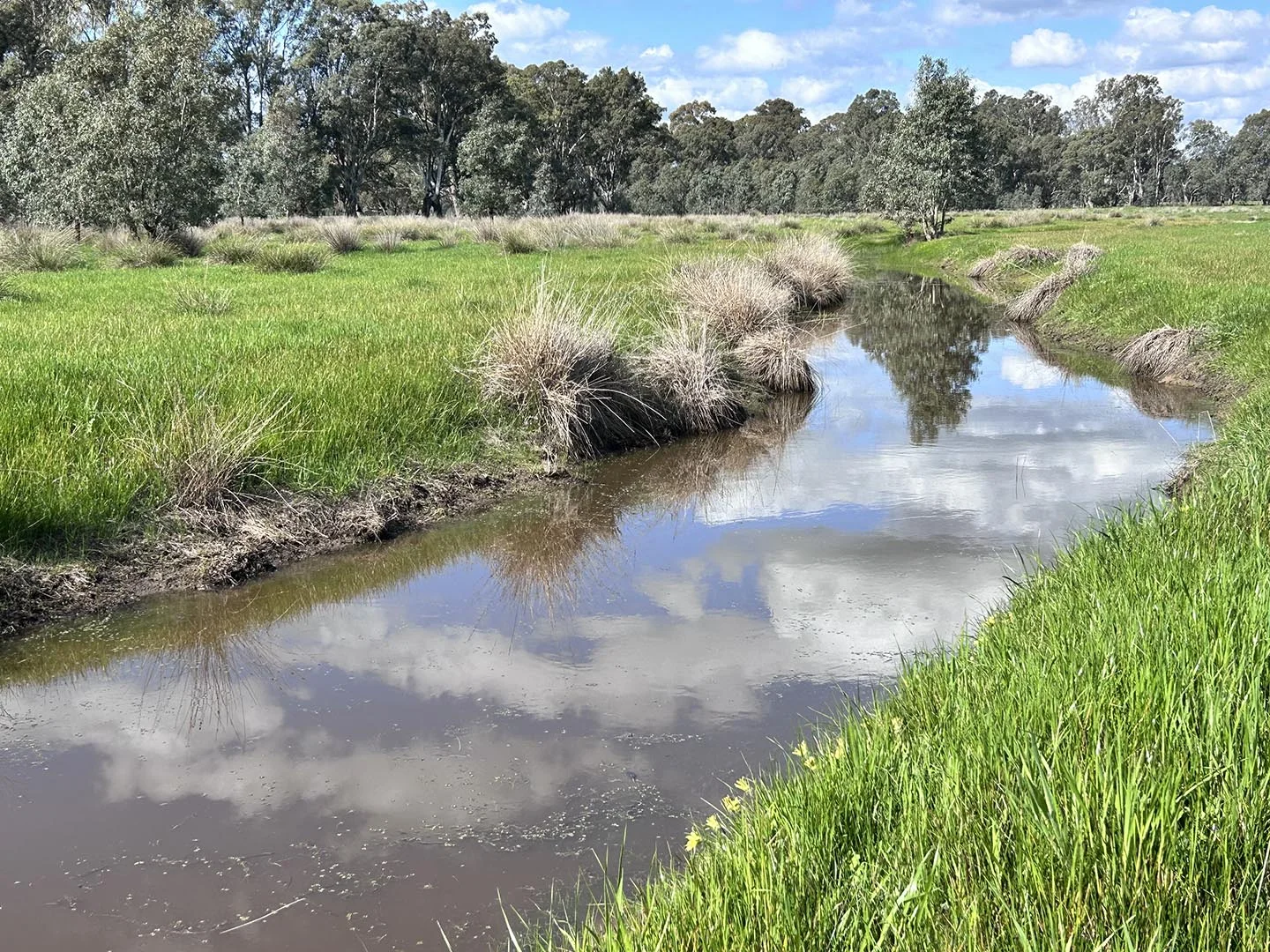 Additional image 6 of 1241 Drysdale Road, Pranjip VIC 3666