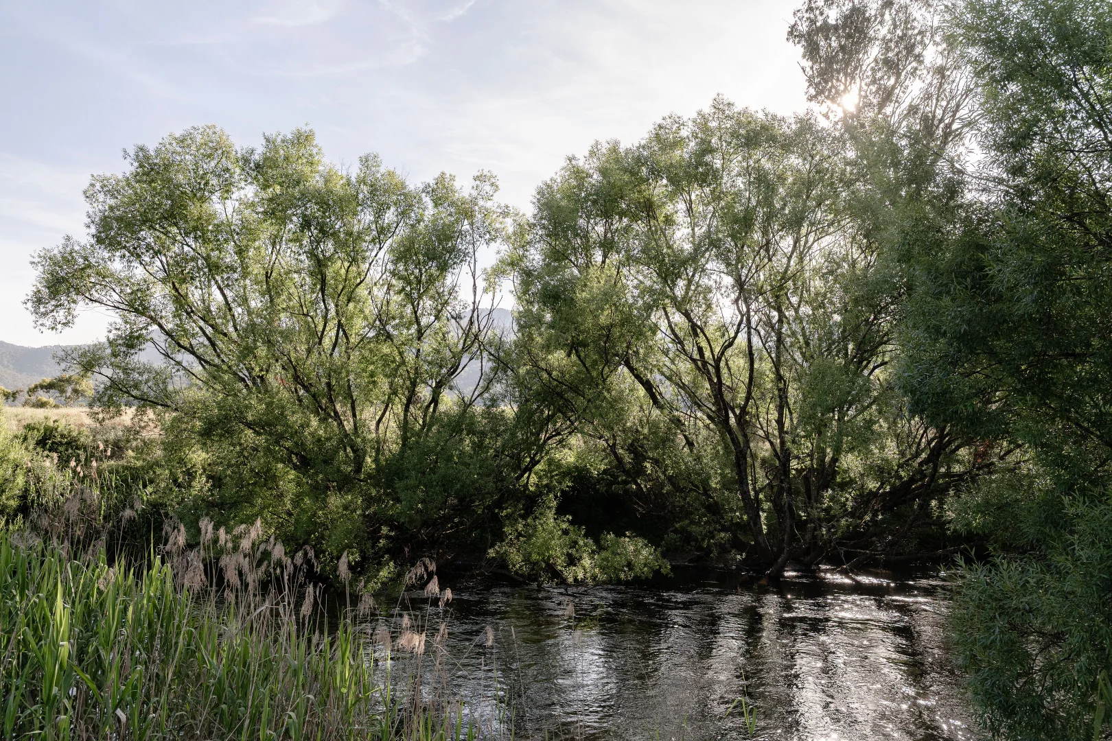 Additional image 11 of 528 Redbank Mongans Road, Mongans Bridge VIC 3691