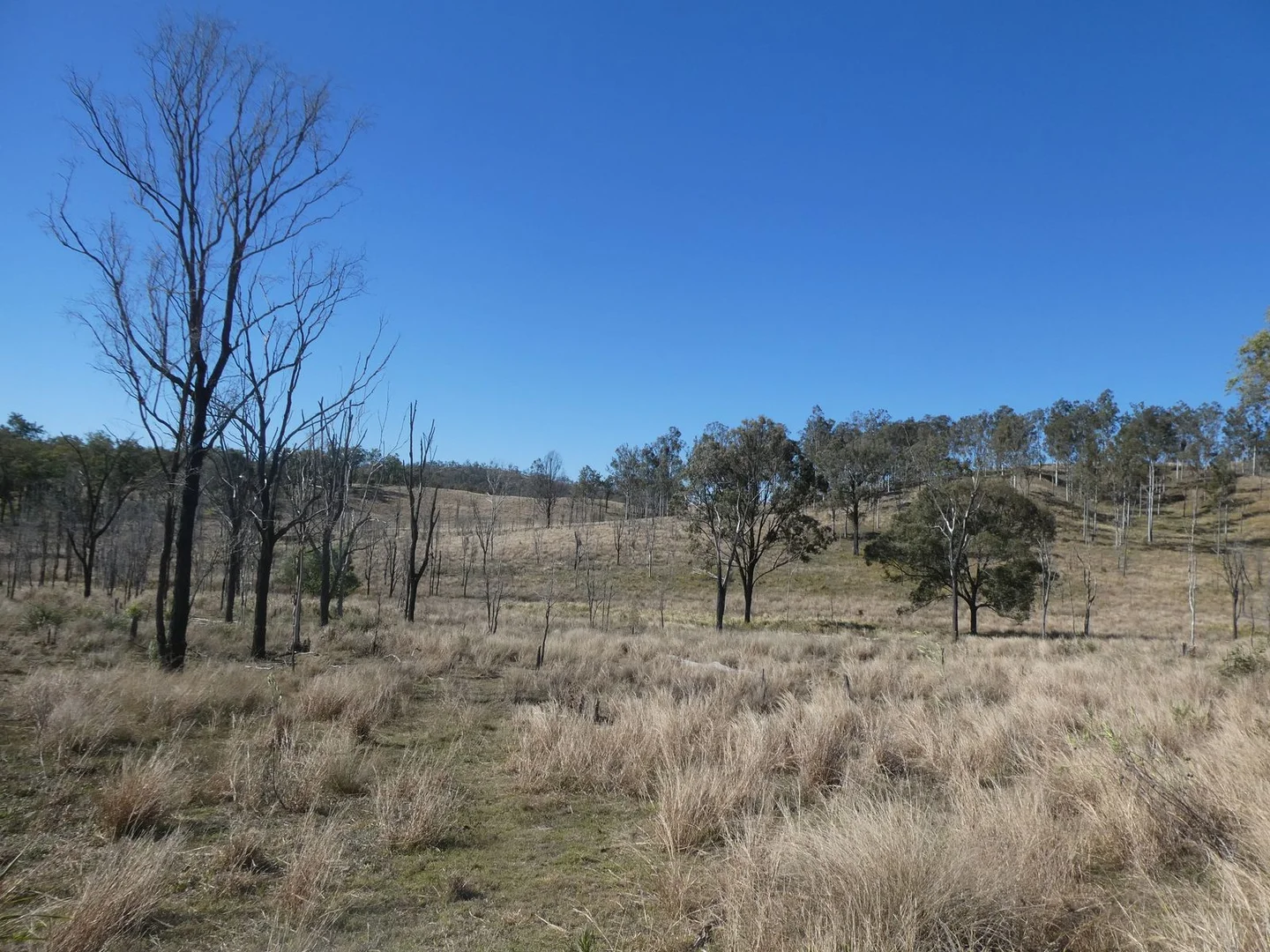 Additional image 18 of 59 Mungy Road, Mungy QLD 4671