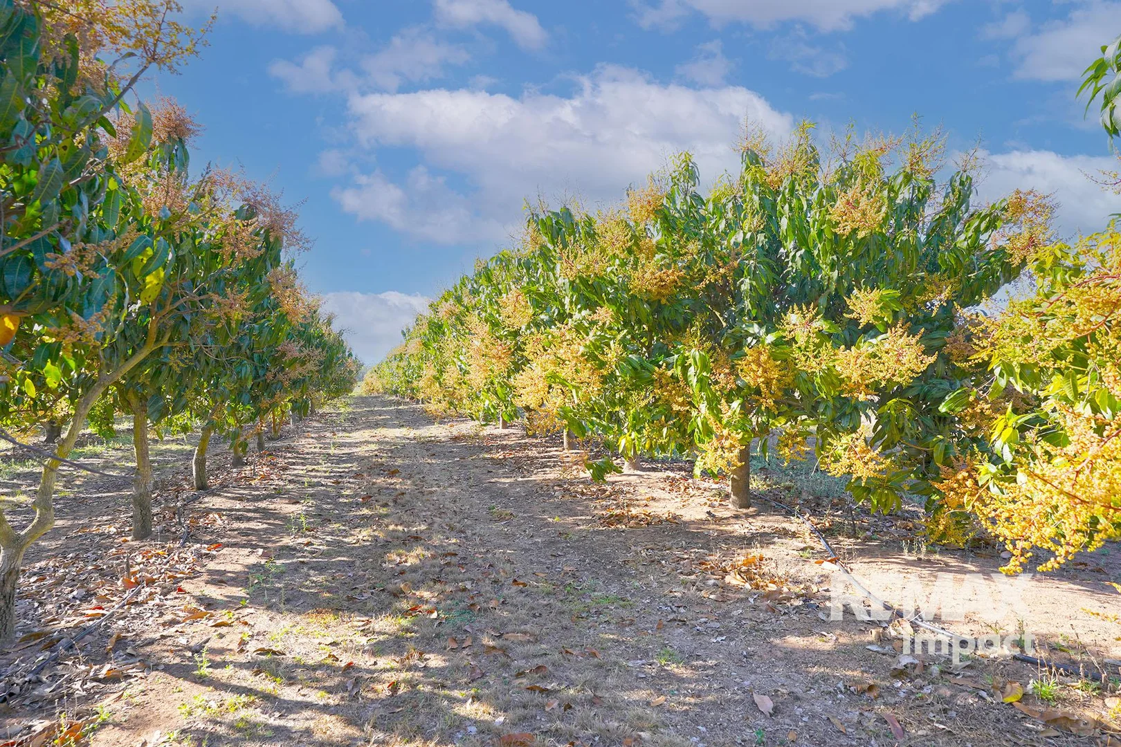 Additional image 5 of 446 Chewko Road, Mareeba QLD 4880