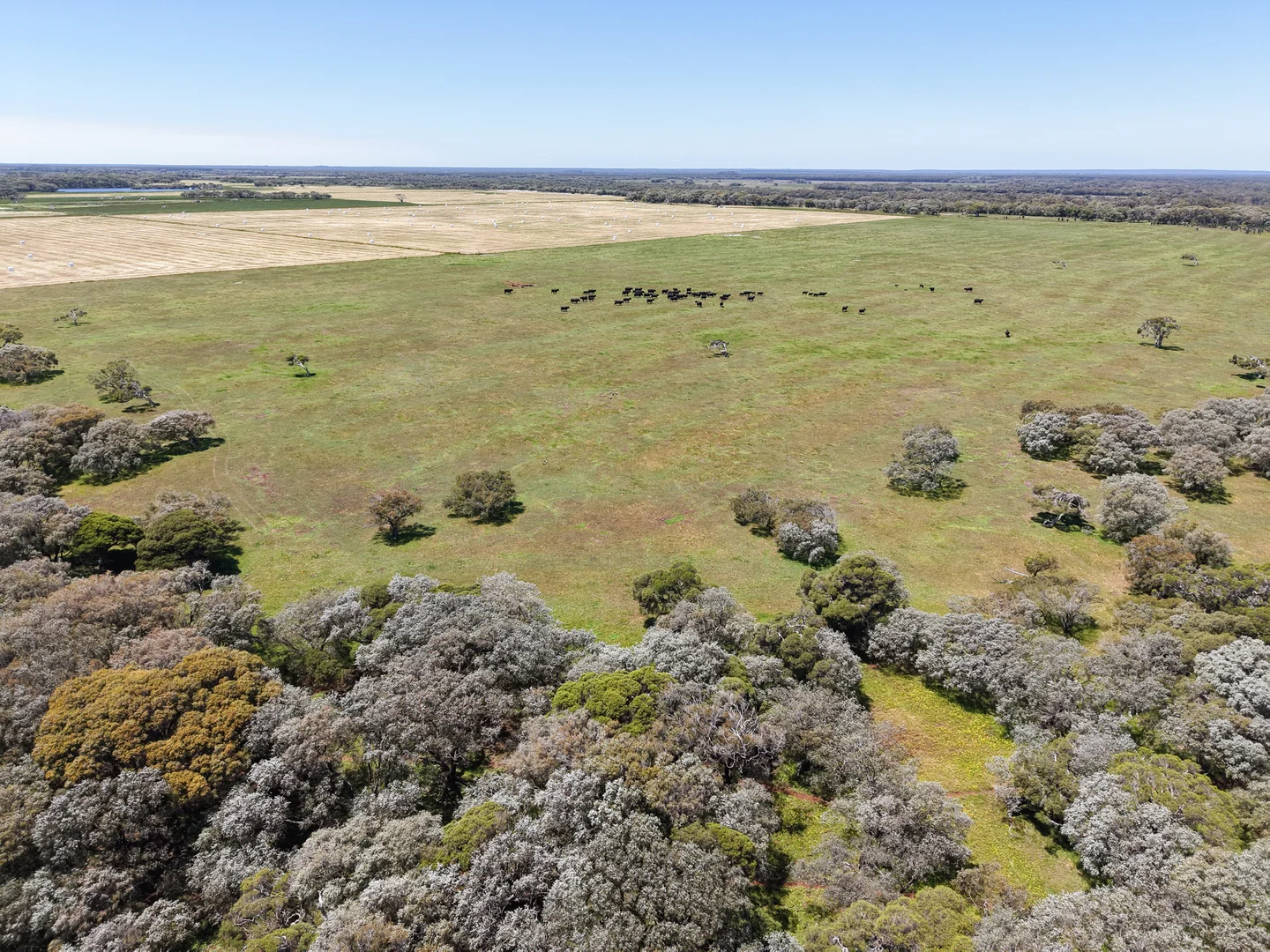 Additional image 5 of Lot 1 Coostien Road, Scott River WA 6288