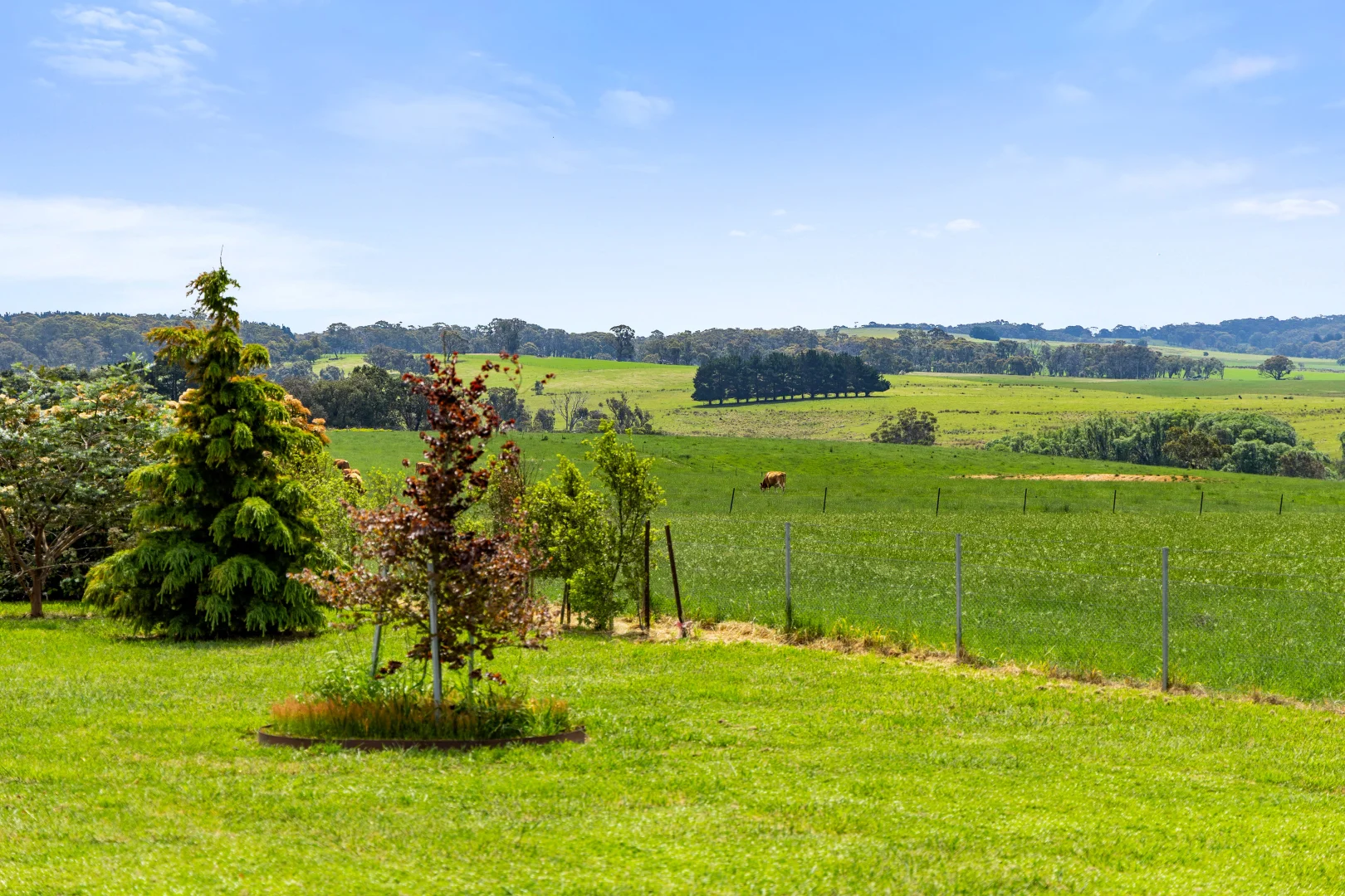 Additional image 67 of 192 Dawsons Creek Road Bannister Via, Crookwell NSW 2583