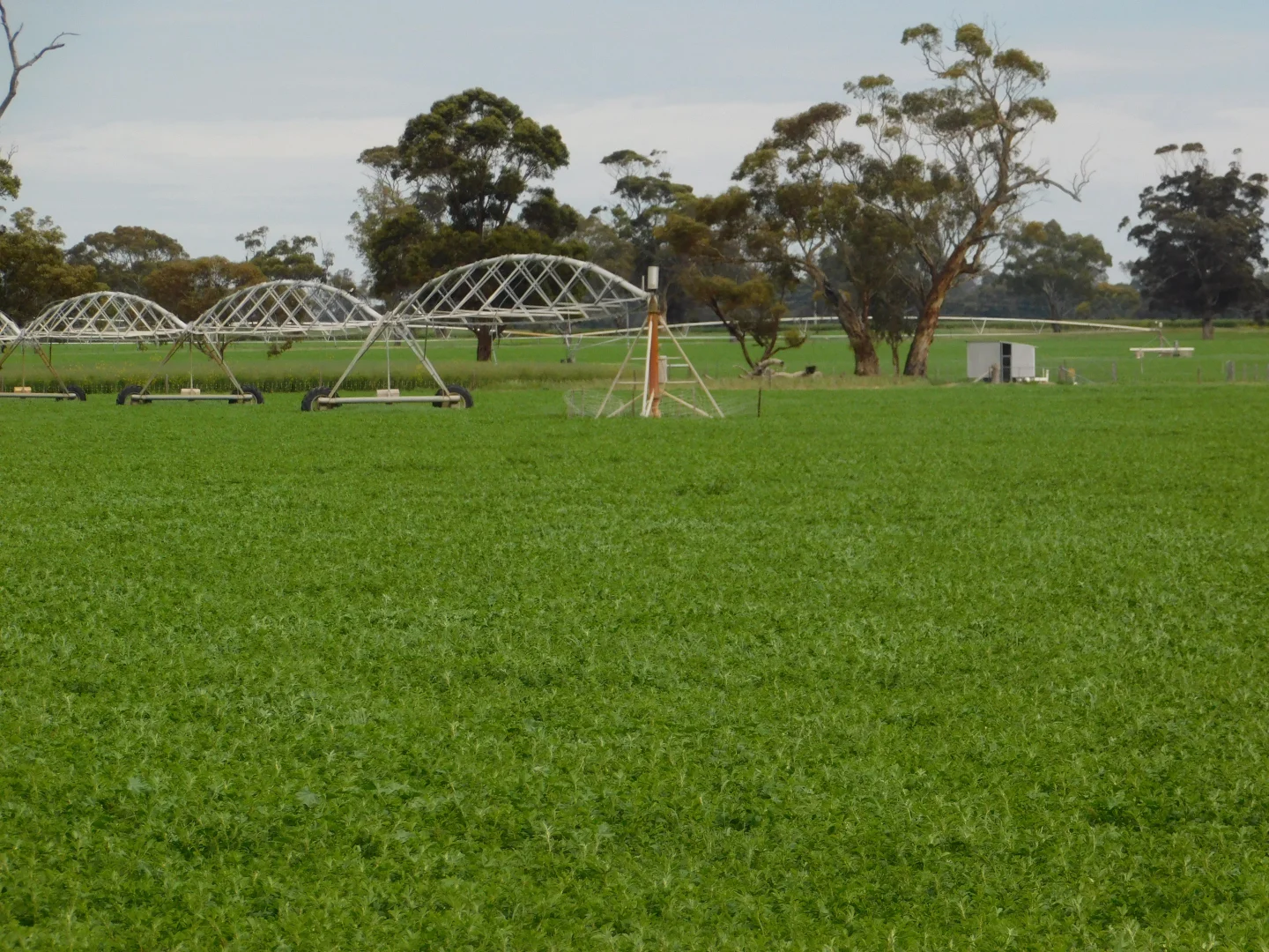 Additional image 10 of 16472 Dukes Hwy, Bordertown SA 5268