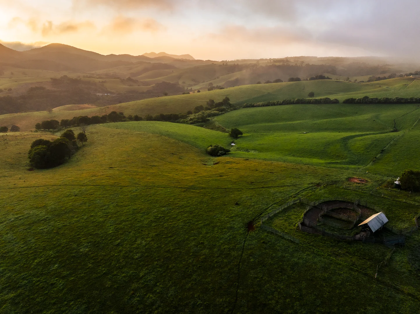 Additional image 29 of 294 Coramba Road, Dorrigo NSW 2453