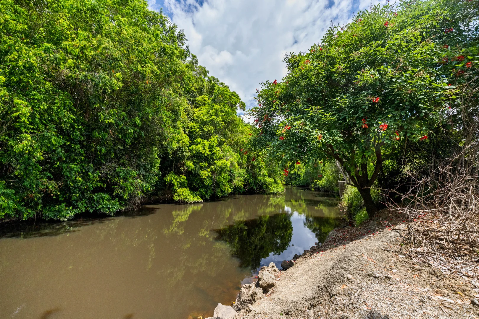 Additional image 14 of 6 Canando Street, Woodford QLD 4514