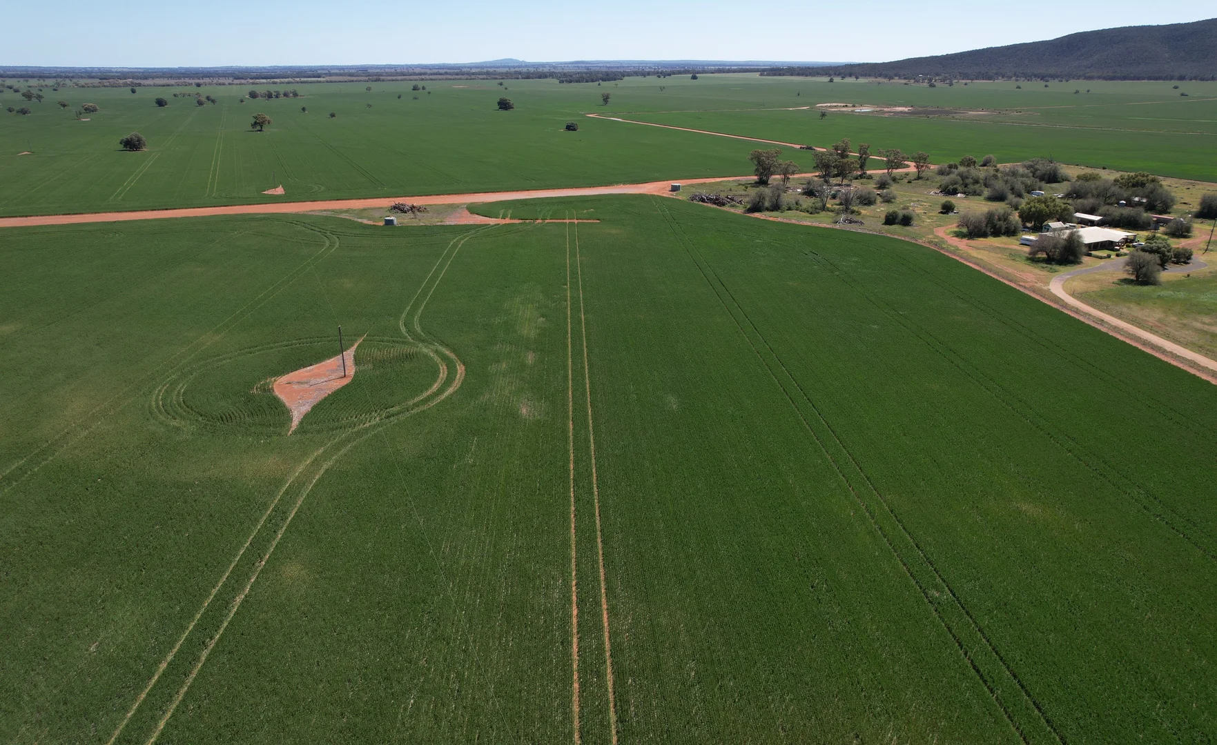 Additional image 7 of 2190 Yarrabandai Road, Trundle NSW 2875