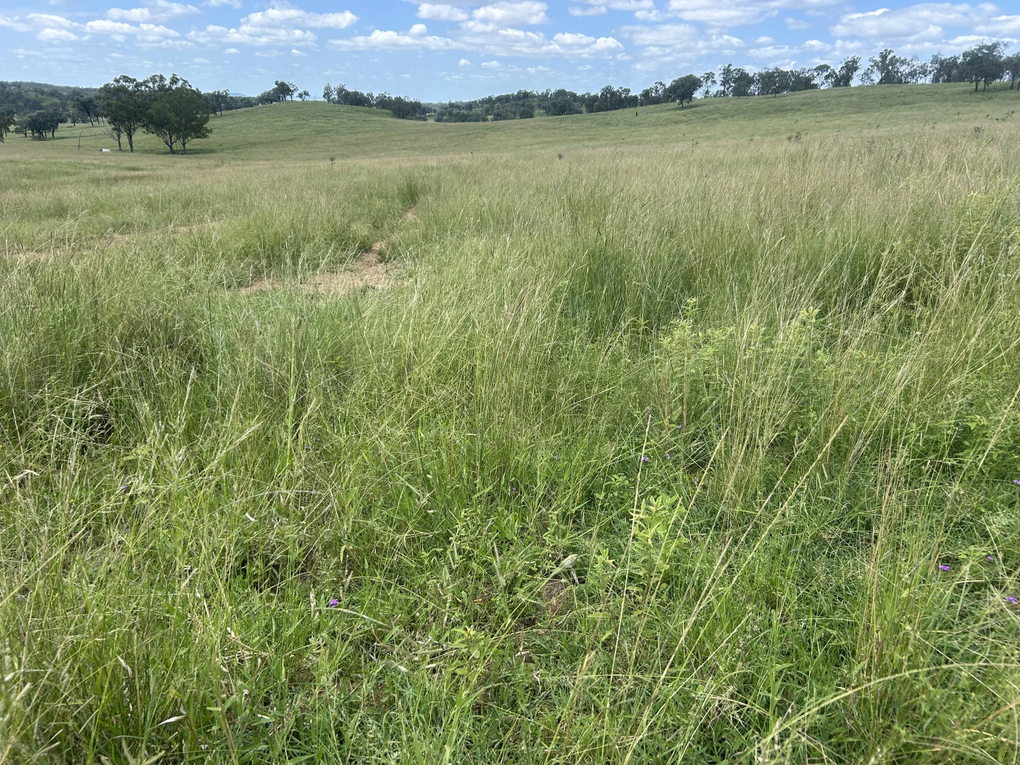 Additional image 12 of 789 Coppin Rd, Monto QLD 4630