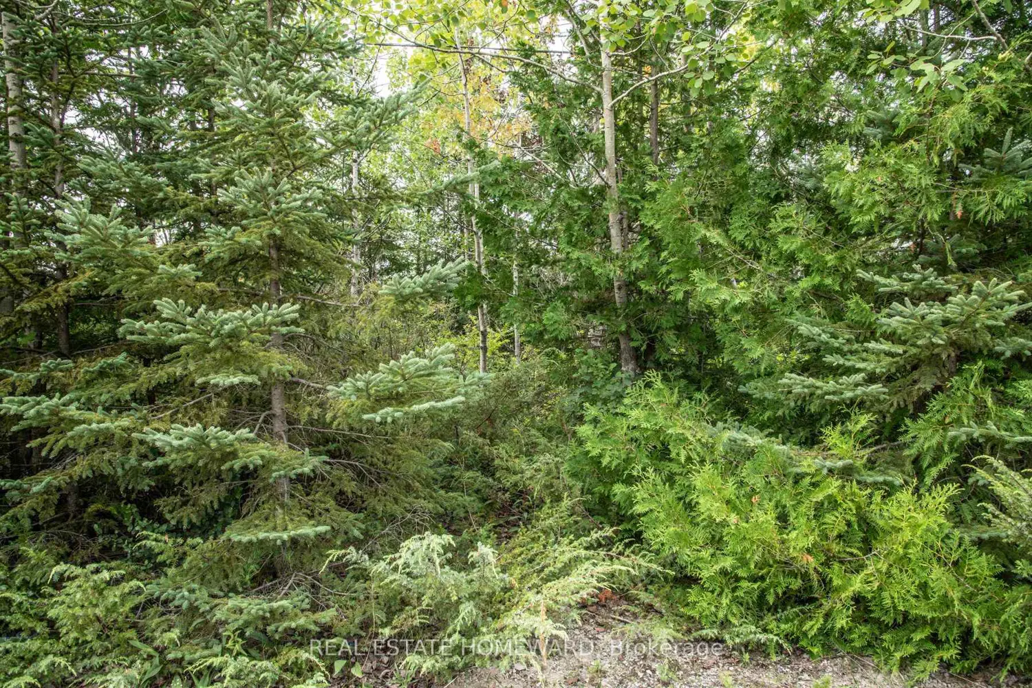 Additional image 2 of 254-256 Mcguire Beach Road