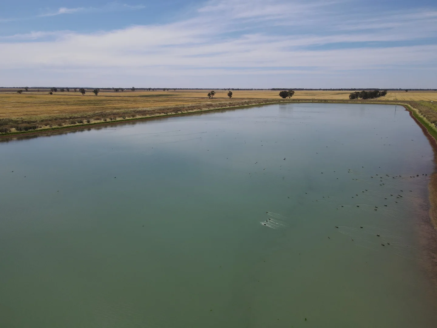 Additional image 24 of 1 Henry Lawson Way, Forbes NSW 2871