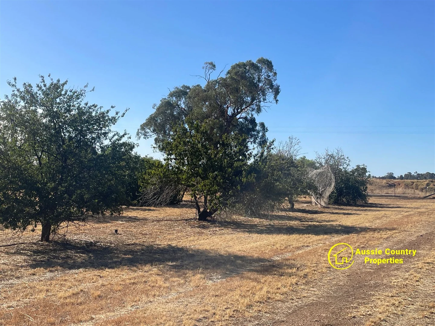 Additional image 17 of 67 Earls Road, Berrigan NSW 2712