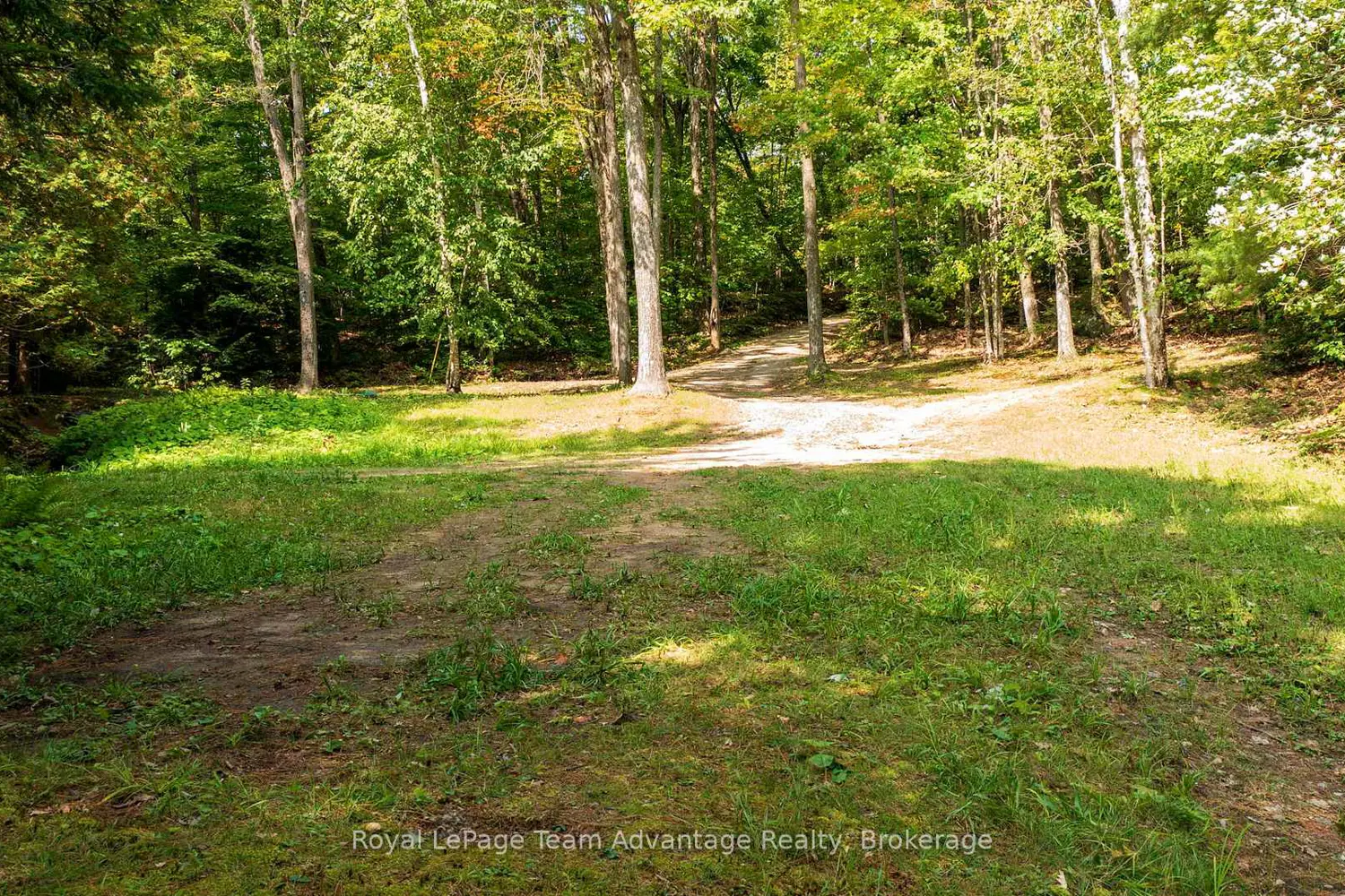 Additional image 4 of 11 Veronica Gene Lane