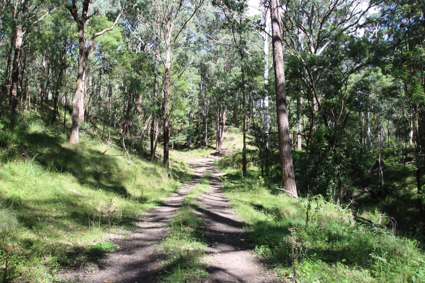 Additional image 14 of 1465 Billirimba Road, Tenterfield NSW 2372