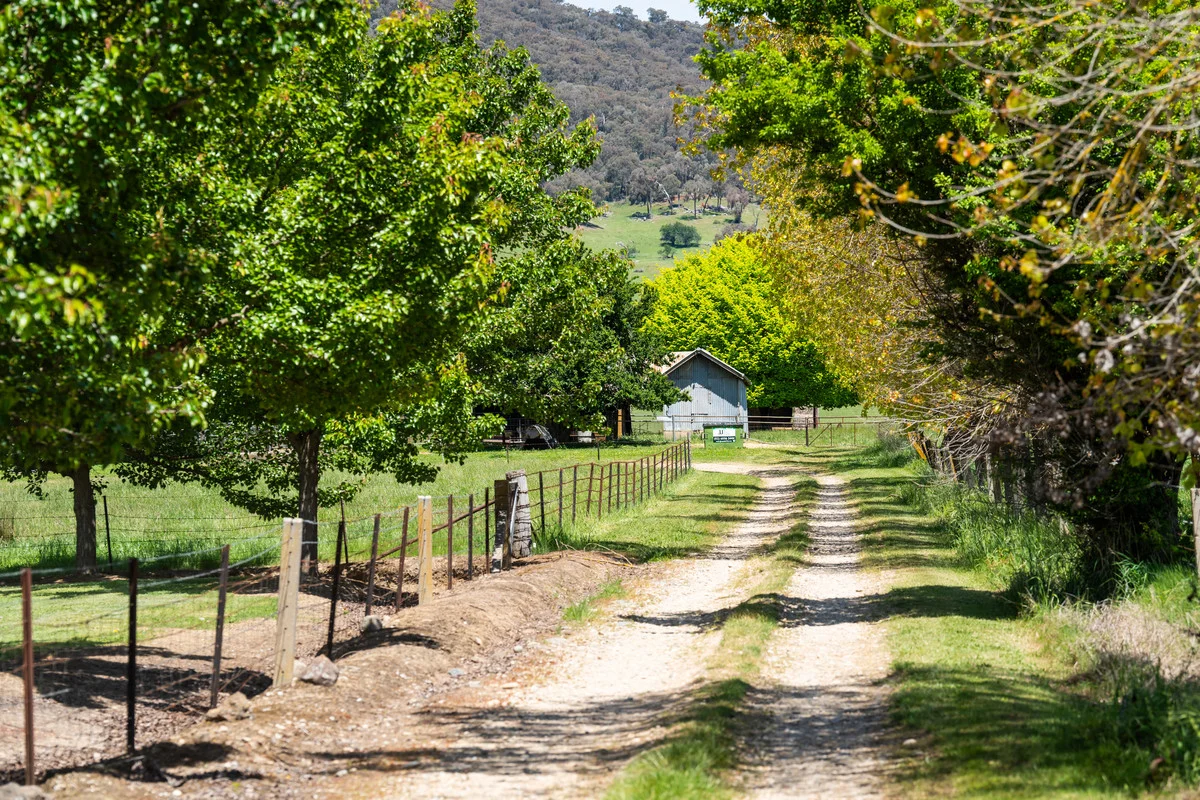 Additional image 5 of 4320 Kiewa Valley Highway, Dederang VIC 3691
