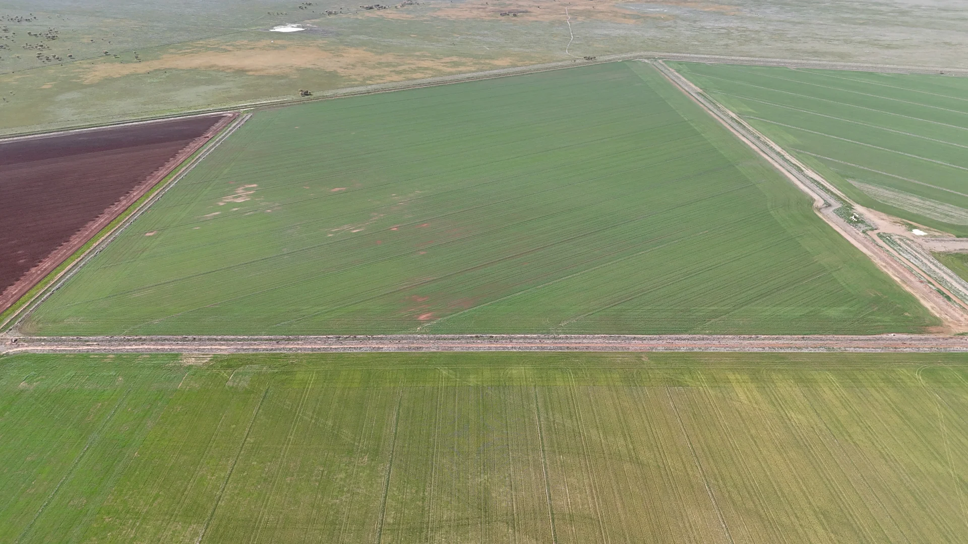 Additional image 5 of 69-70 Leonard Road, Coleambally NSW 2707