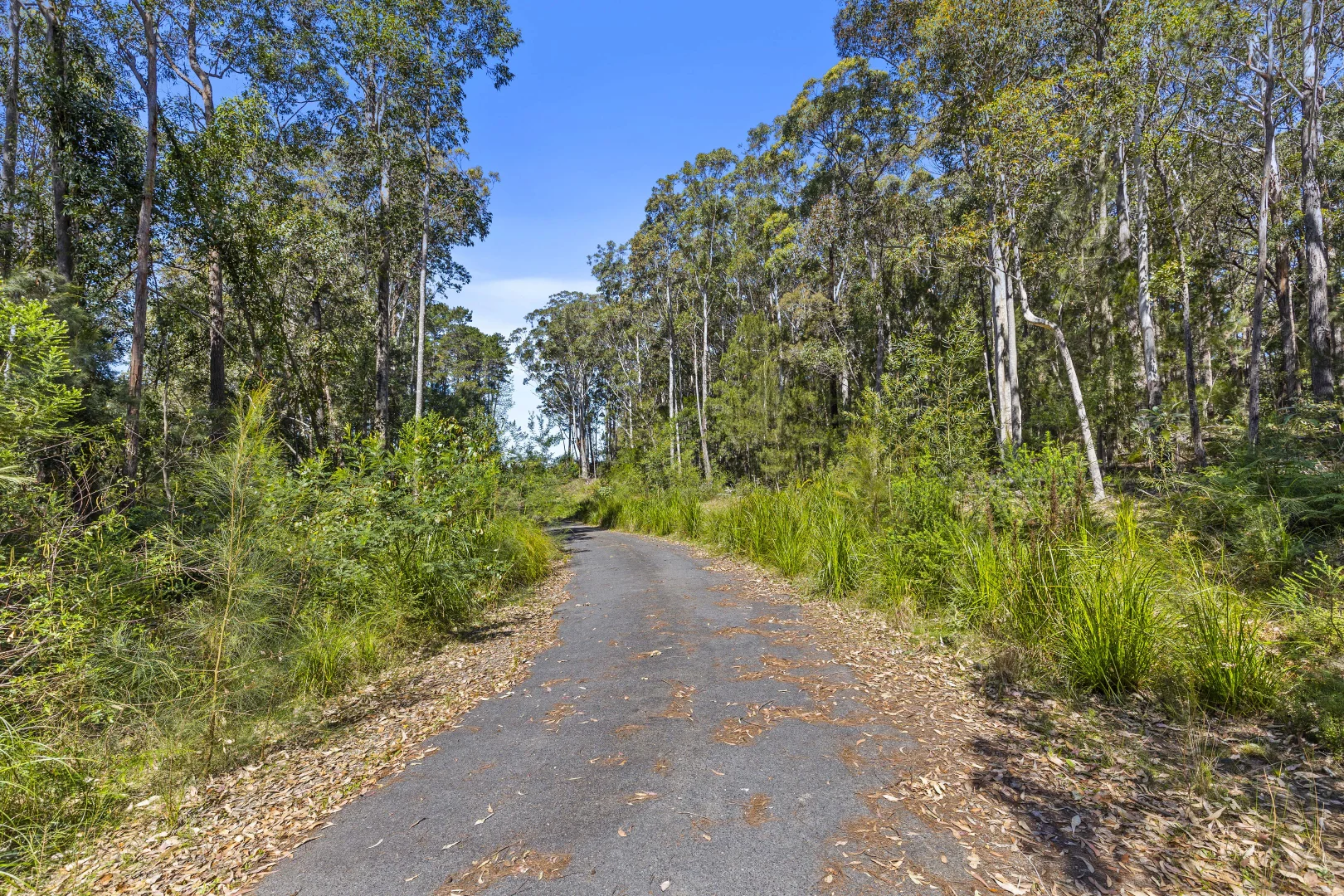 Additional image 8 of Lot 31/ Lot 67 Northcove Road, Long Beach NSW 2536