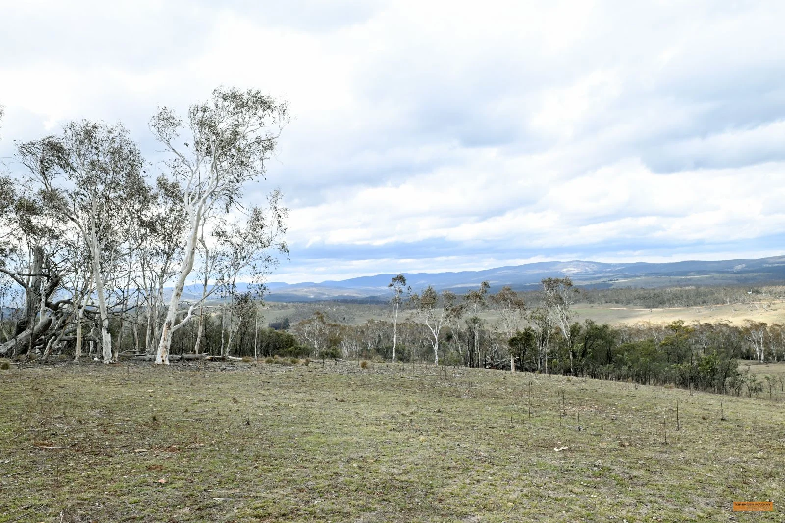 Additional image 29 of "Eagle Heights" 636 Caddigat Road, Dry Plain NSW 2630