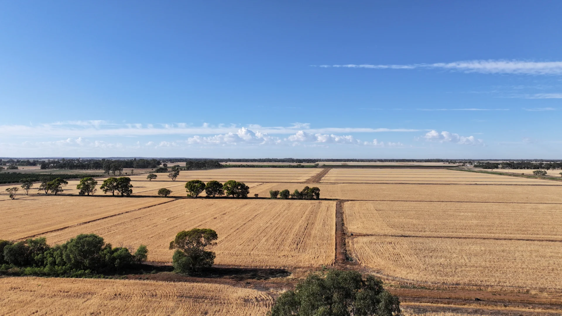 Additional image 9 of Farm 65 Stoney Point Road, Leeton NSW 2705