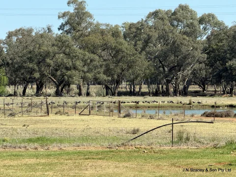 Additional image 26 of 118 Henry Parkes Way, Condobolin NSW 2877