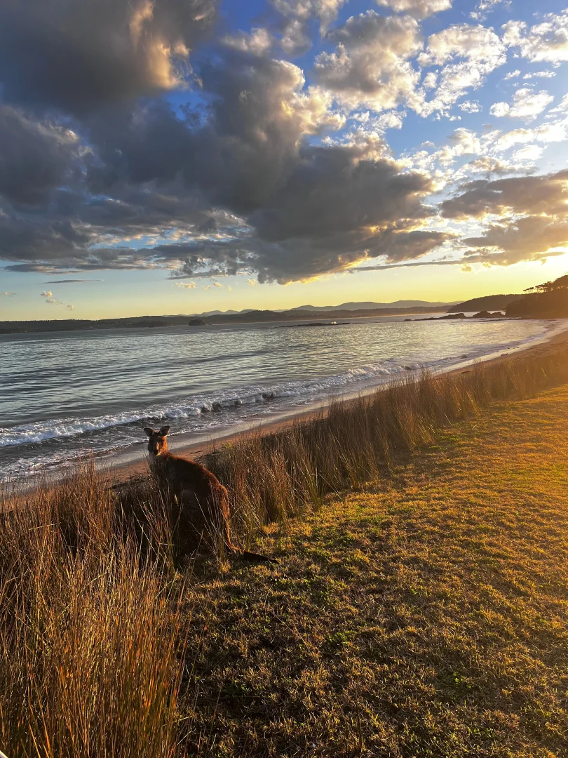 Additional image 35 of 110 Maloneys Drive, Maloneys Beach NSW 2536