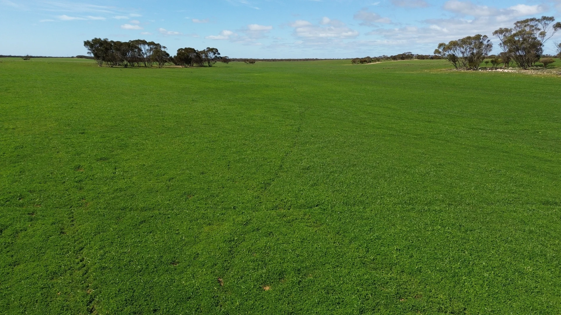 Additional image 5 of Lot 2 Palabie Road, Wudinna SA 5652