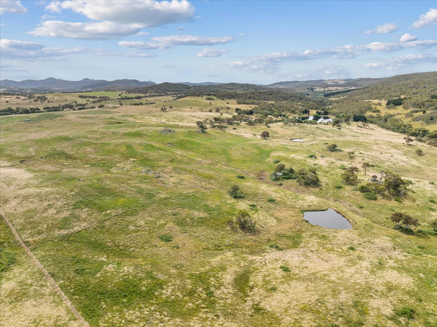 Additional image 10 of 4436 Jerangle Road, Captains Flat NSW 2623