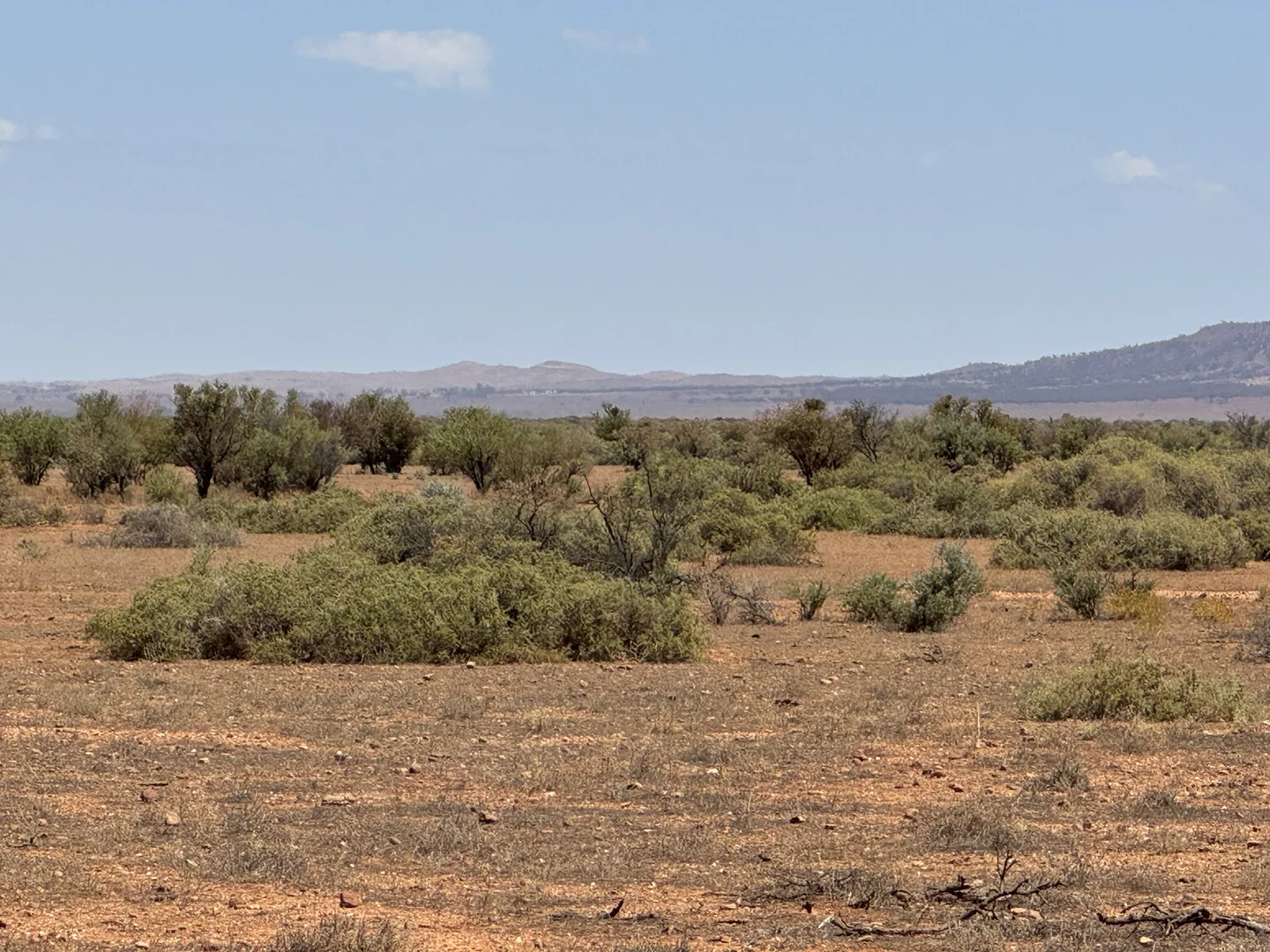 Additional image 2 of Minburra/Lynch Road, Minburra SA 5431