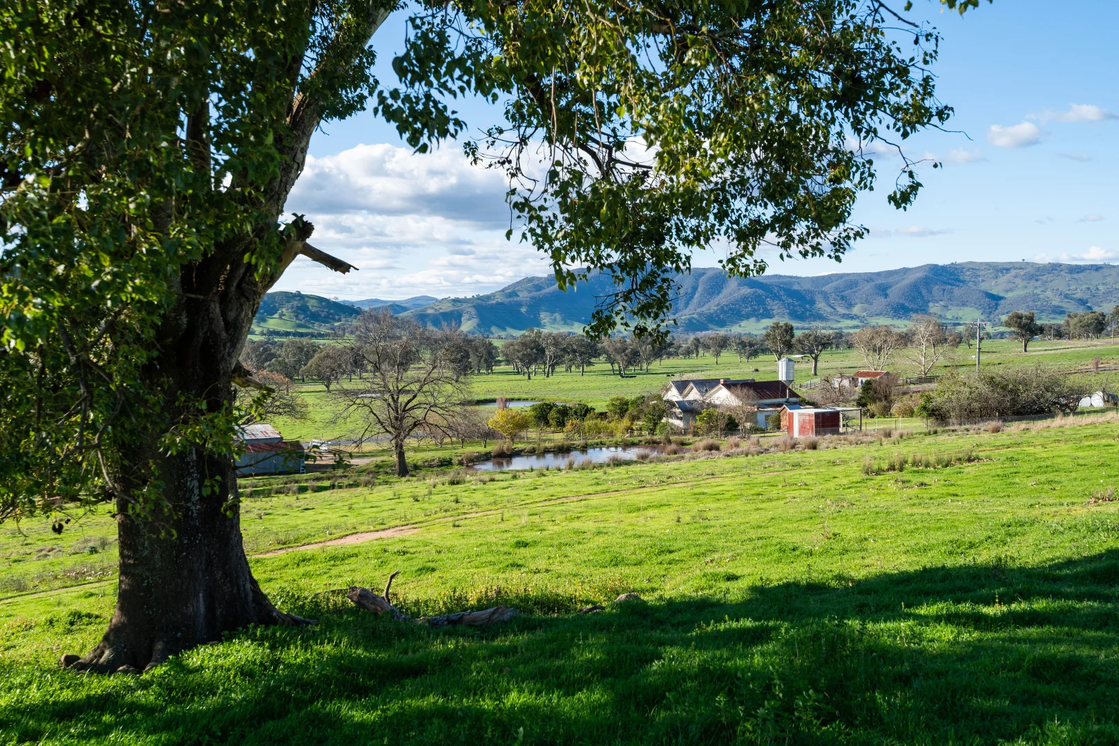 Additional image 22 of 2852 Shelley Road, Walwa VIC 3709