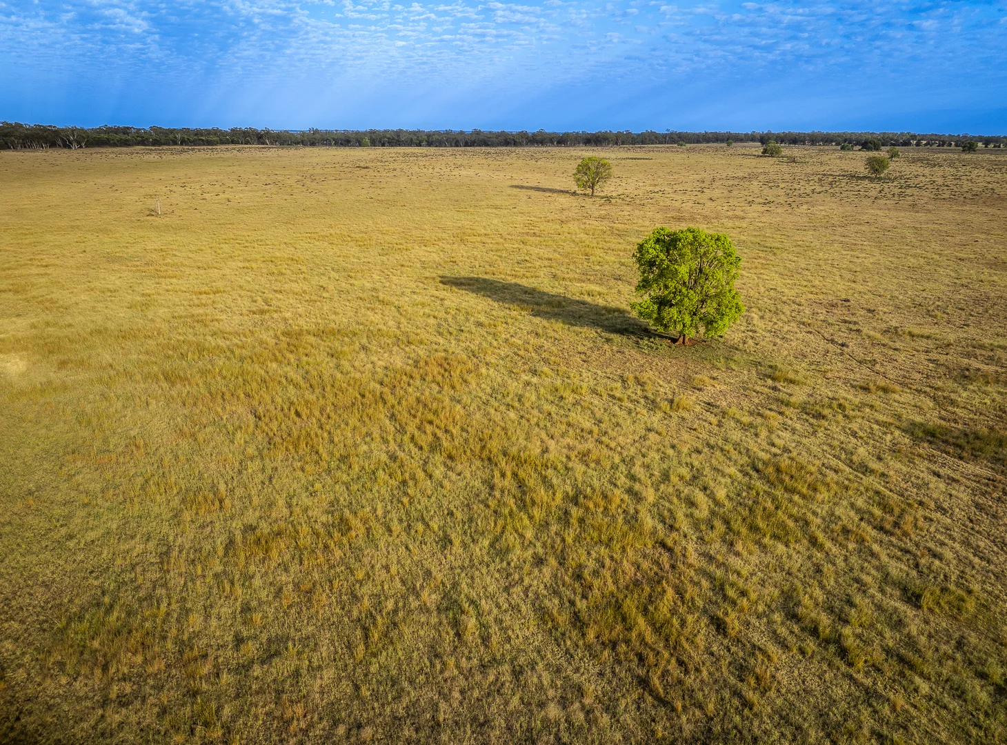 Additional image 22 of Mentone 1521 Bruie Plains Road, Trundle NSW 2875