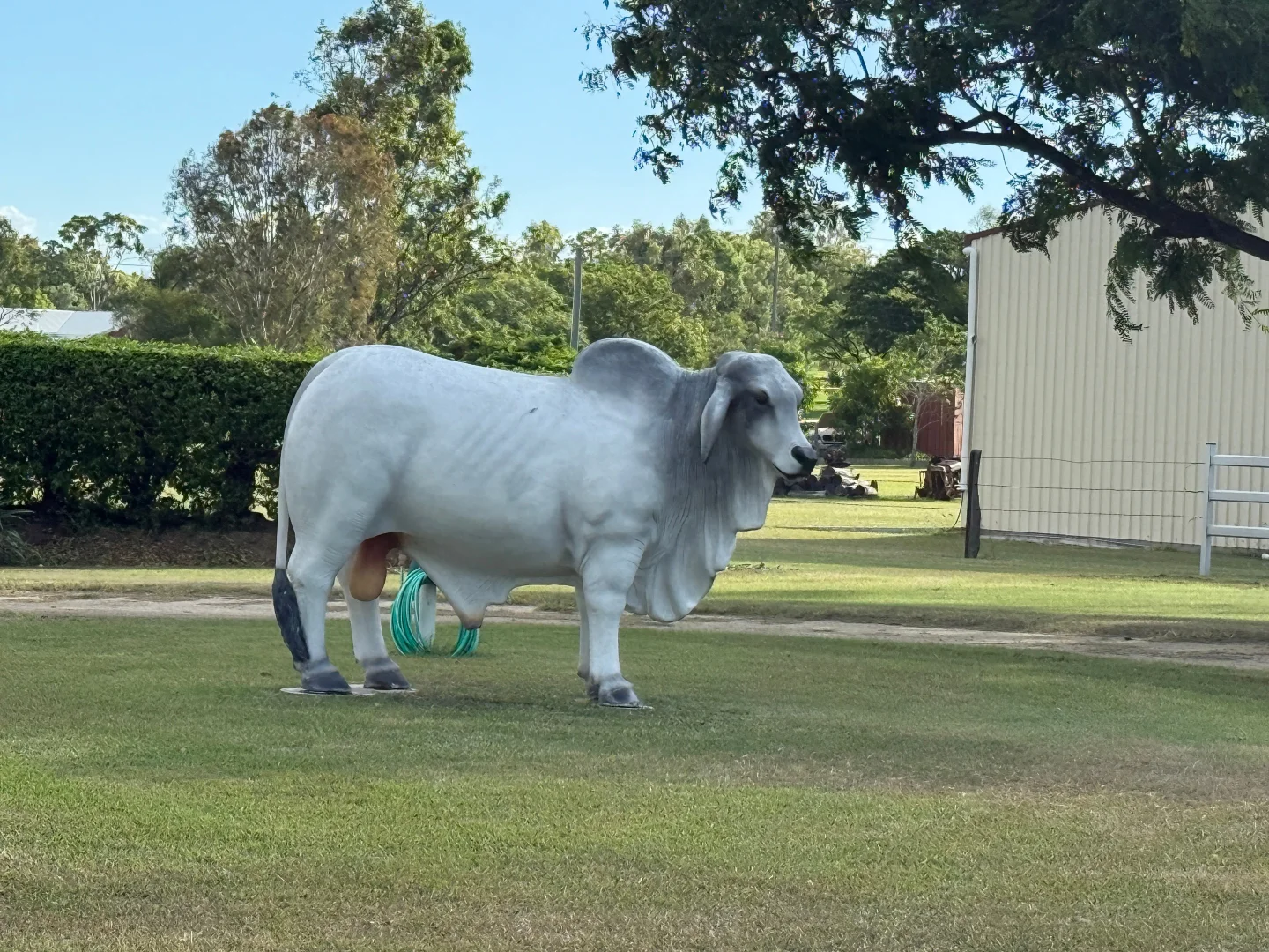 Additional image 19 of 48 Washpool Road, Gracemere QLD 4702