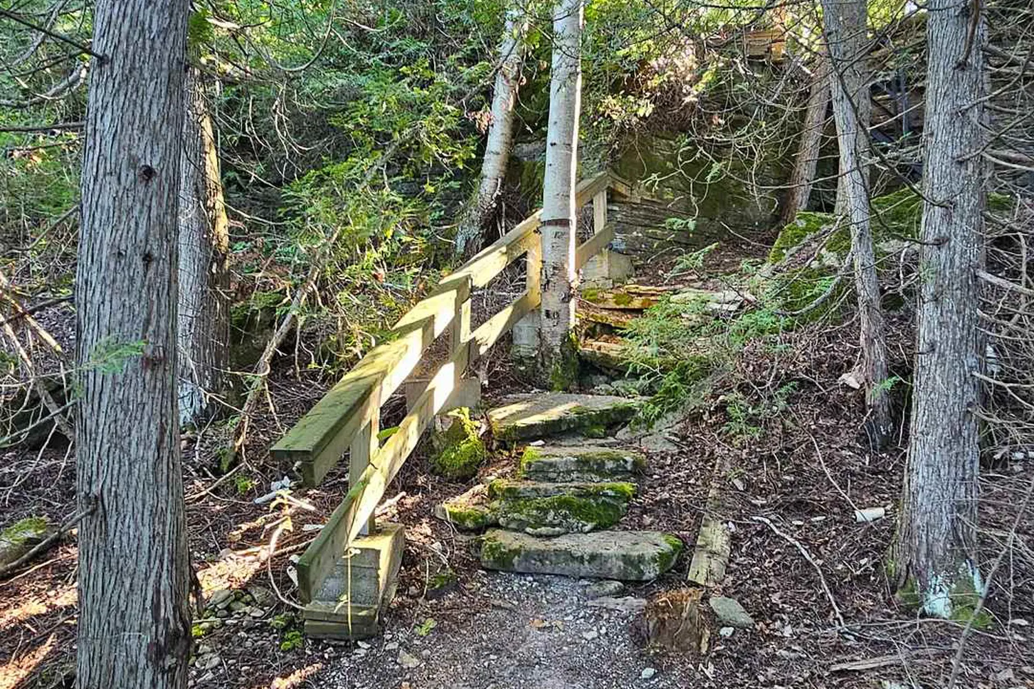 Additional image 10 of 8 Carter Road