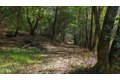 Additional image 36 of 1000 Harmon Gulch Rd, Boulder Creek, CA, 95006
