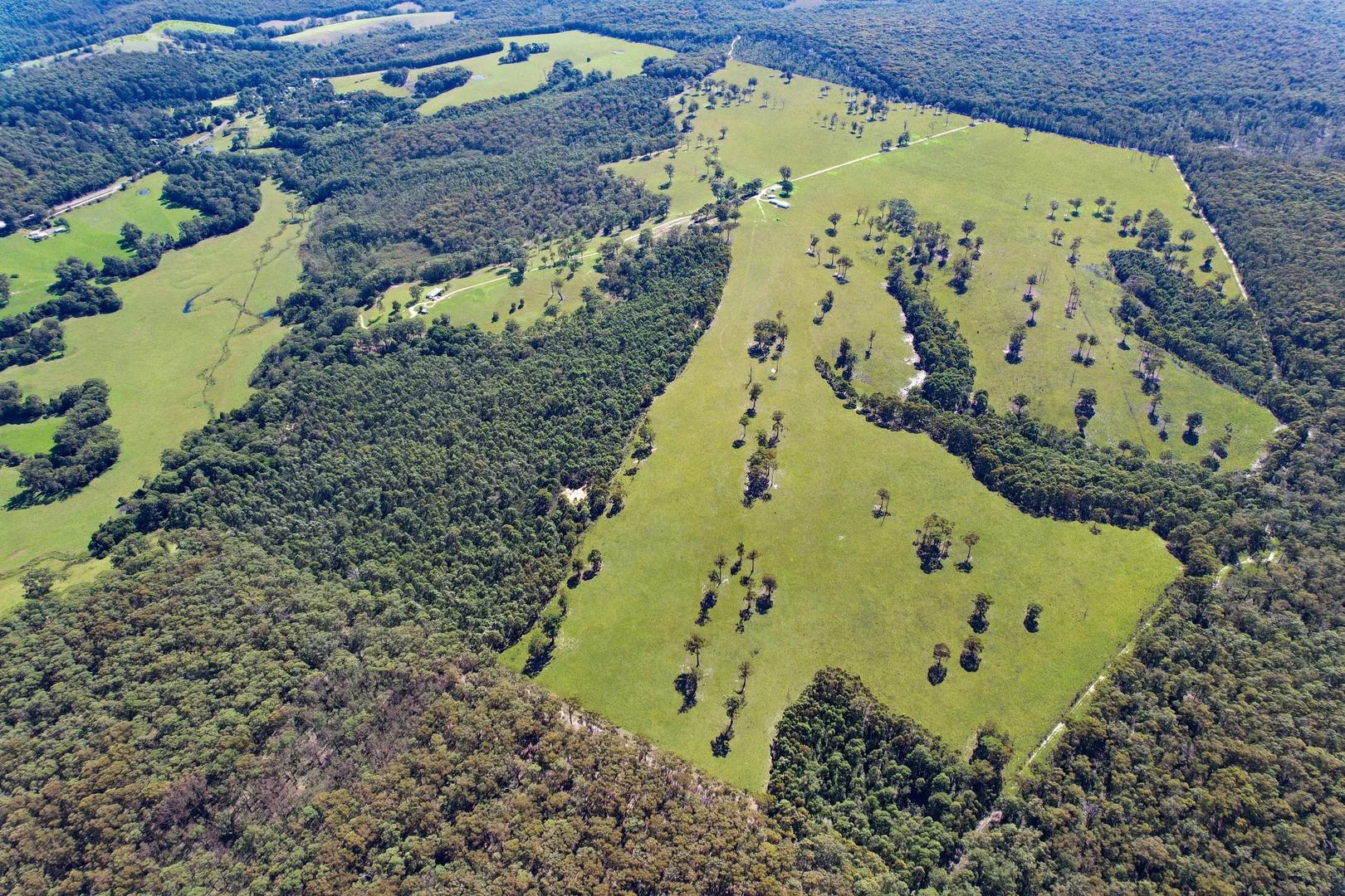 Additional image 15 of 218 Cabbage Tree - Conran Road, Cabbage Tree Creek VIC 3889
