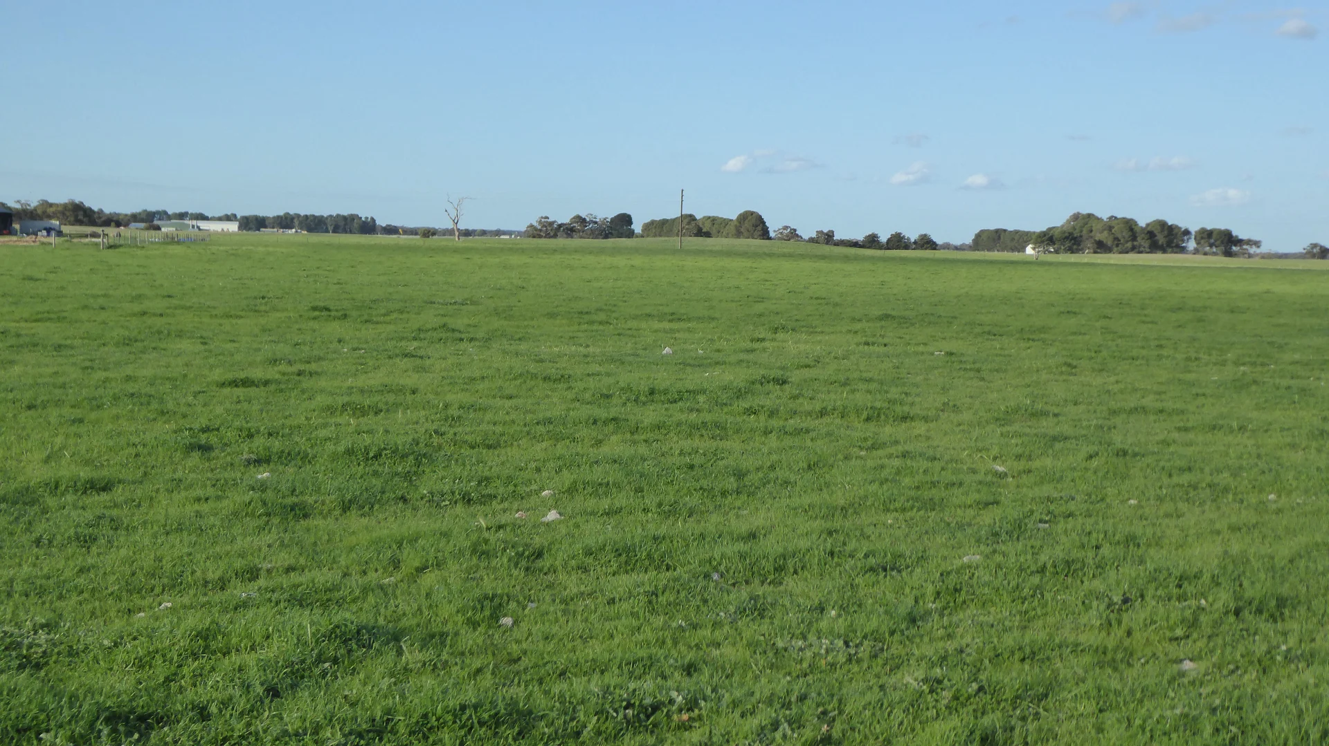 Additional image 20 of "Jacks" Sec 7 Schultz Road, Tintinara SA 5266