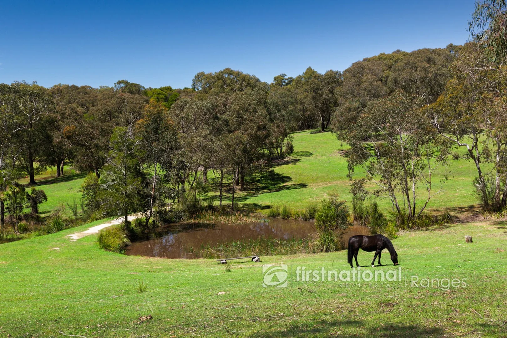 Additional image 20 of 11 Cherry Road, Macclesfield VIC 3782