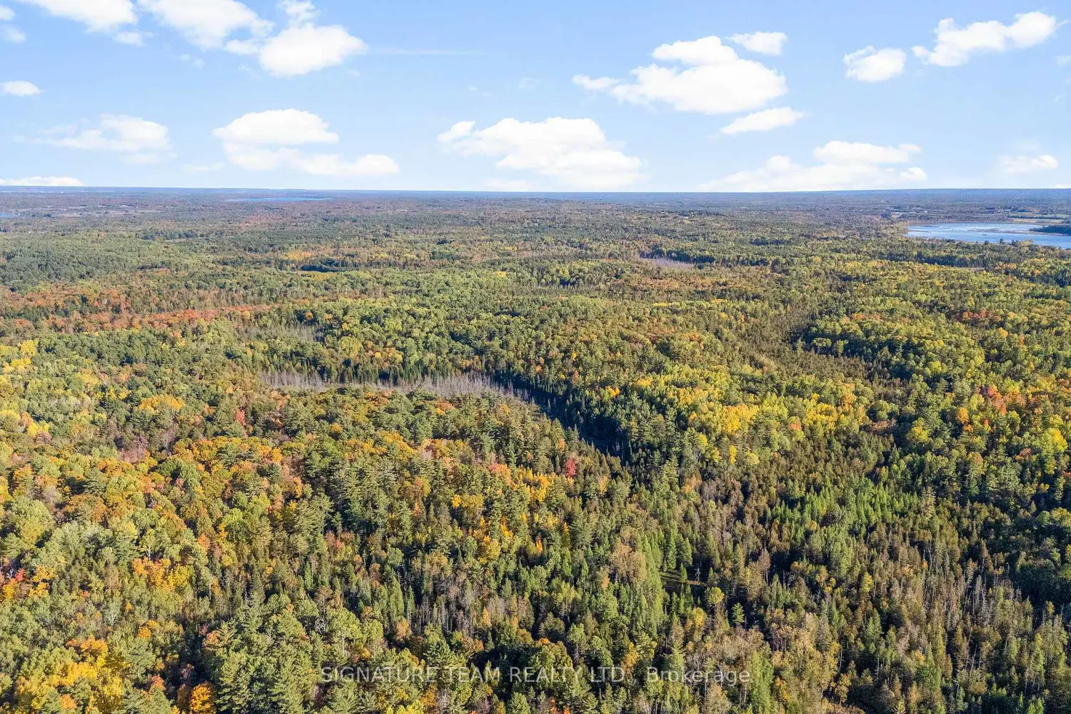 Additional image 11 of 455 Passaw Road