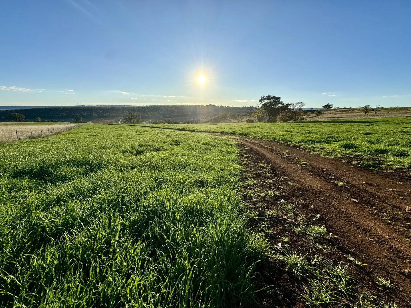 Additional image 18 of "Jemalong" 263 Collier Road, Coolah NSW 2843