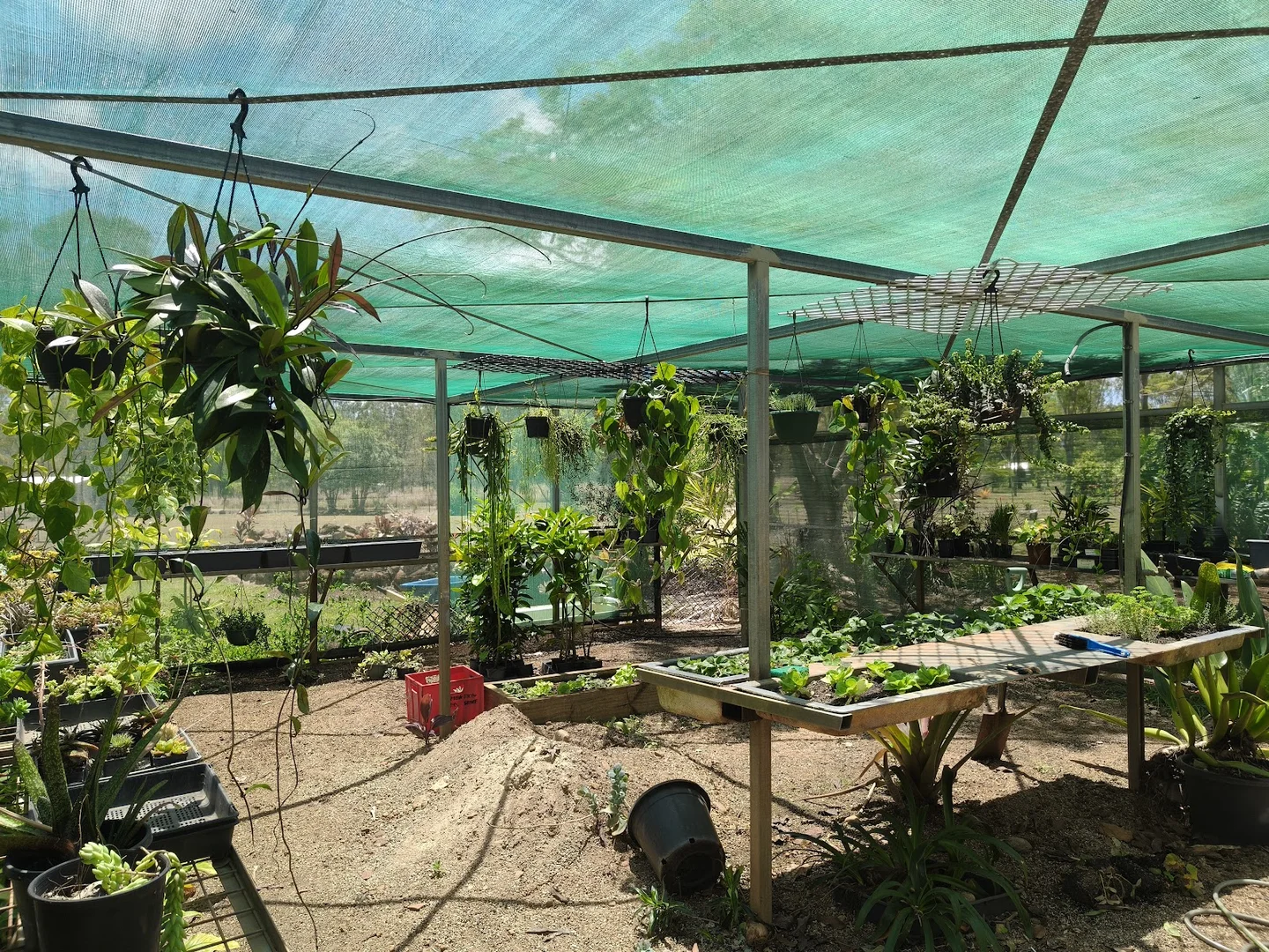 Additional image 19 of 60 Western View Crescent, Millstream QLD 4888