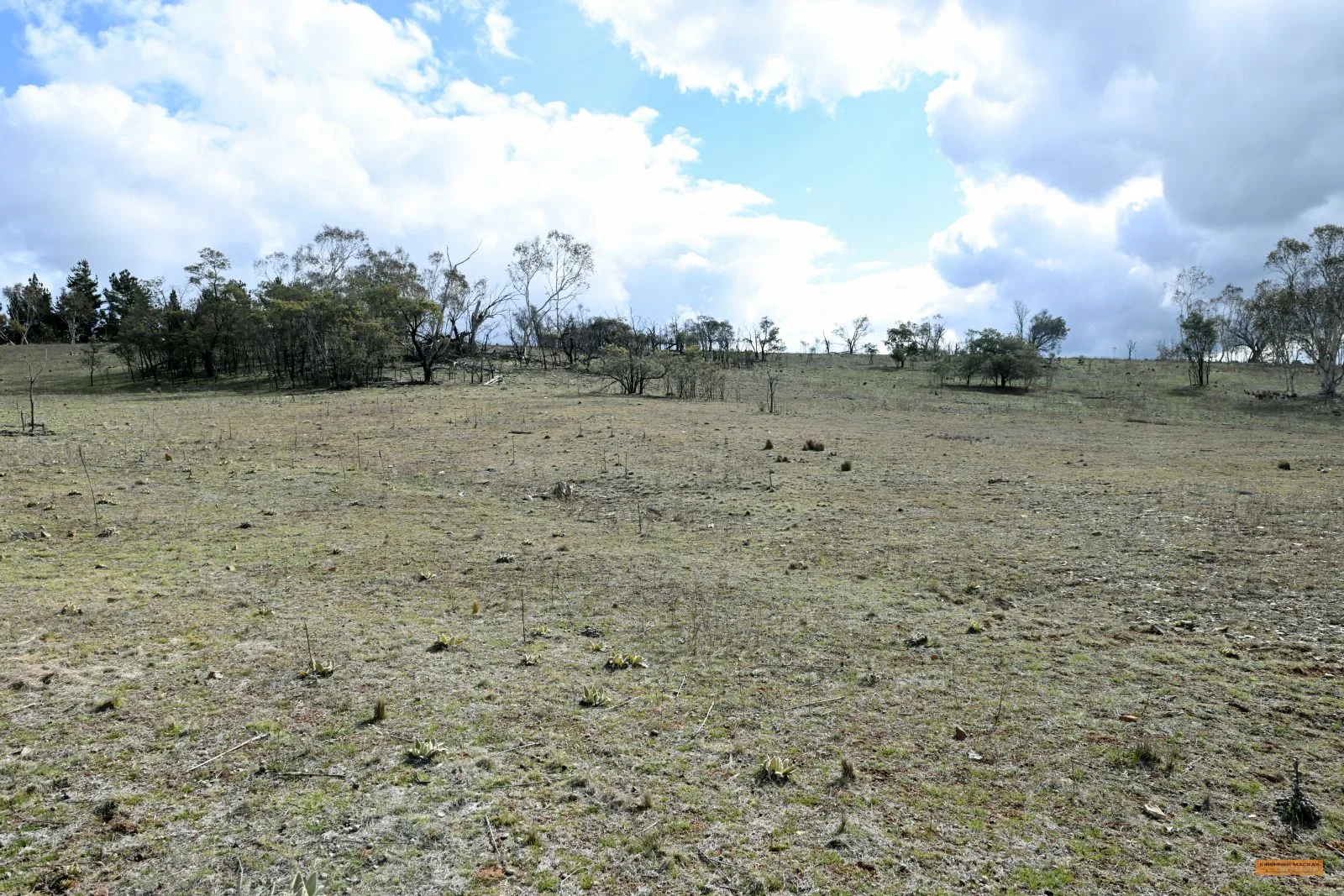 Additional image 42 of "Eagle Heights" 636 Caddigat Road, Dry Plain NSW 2630