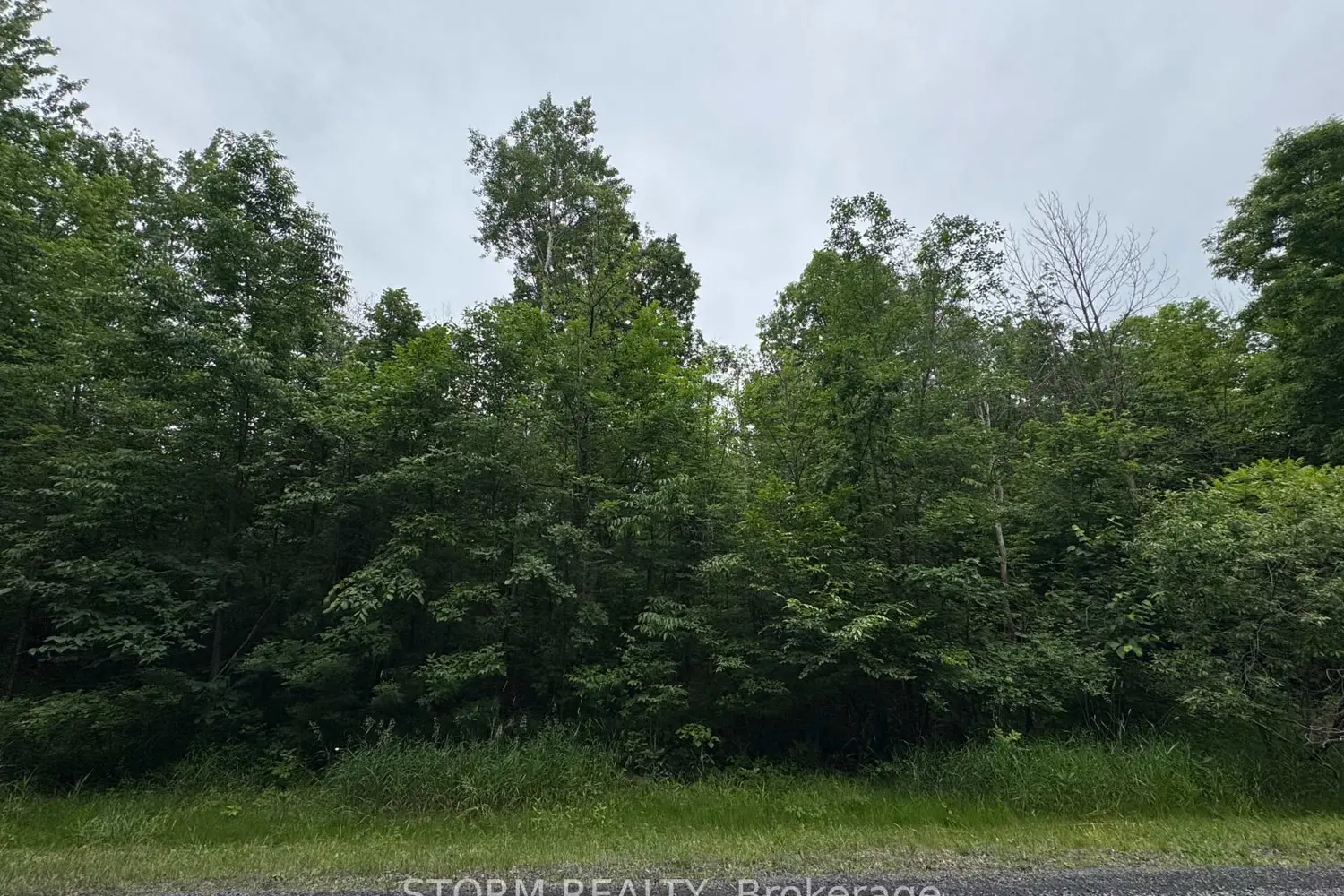 Additional image 2 of Con 8 Bingley Road