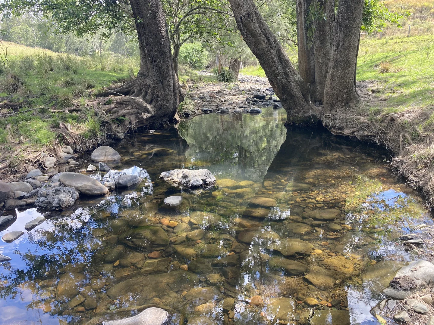 Additional image 11 of 343 Berrico Creek Road, Gloucester NSW 2422