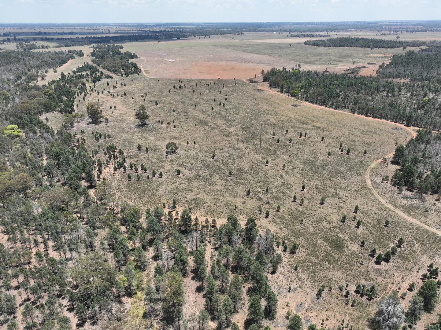 Additional image 10 of 'Illapa' 238L Narromine Road, Dubbo NSW 2830