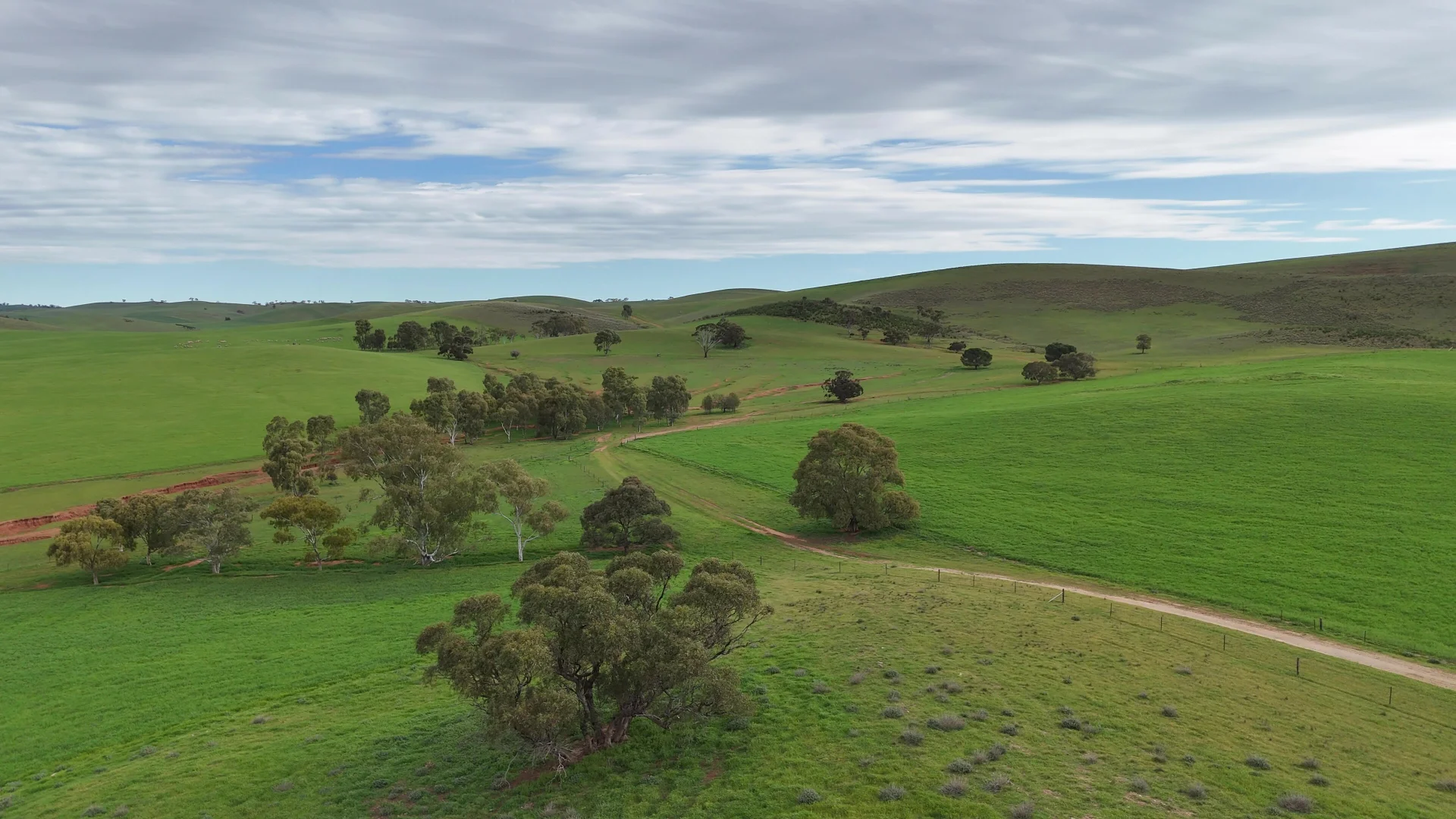 Additional image 3 of 'Broughton Valley' 1 Euromina Road, Broughton River Valley SA 5454